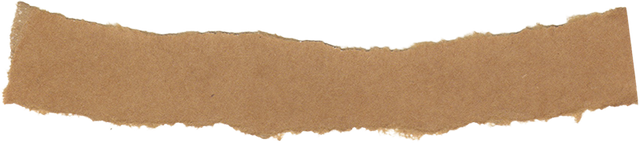 Ripped Paper