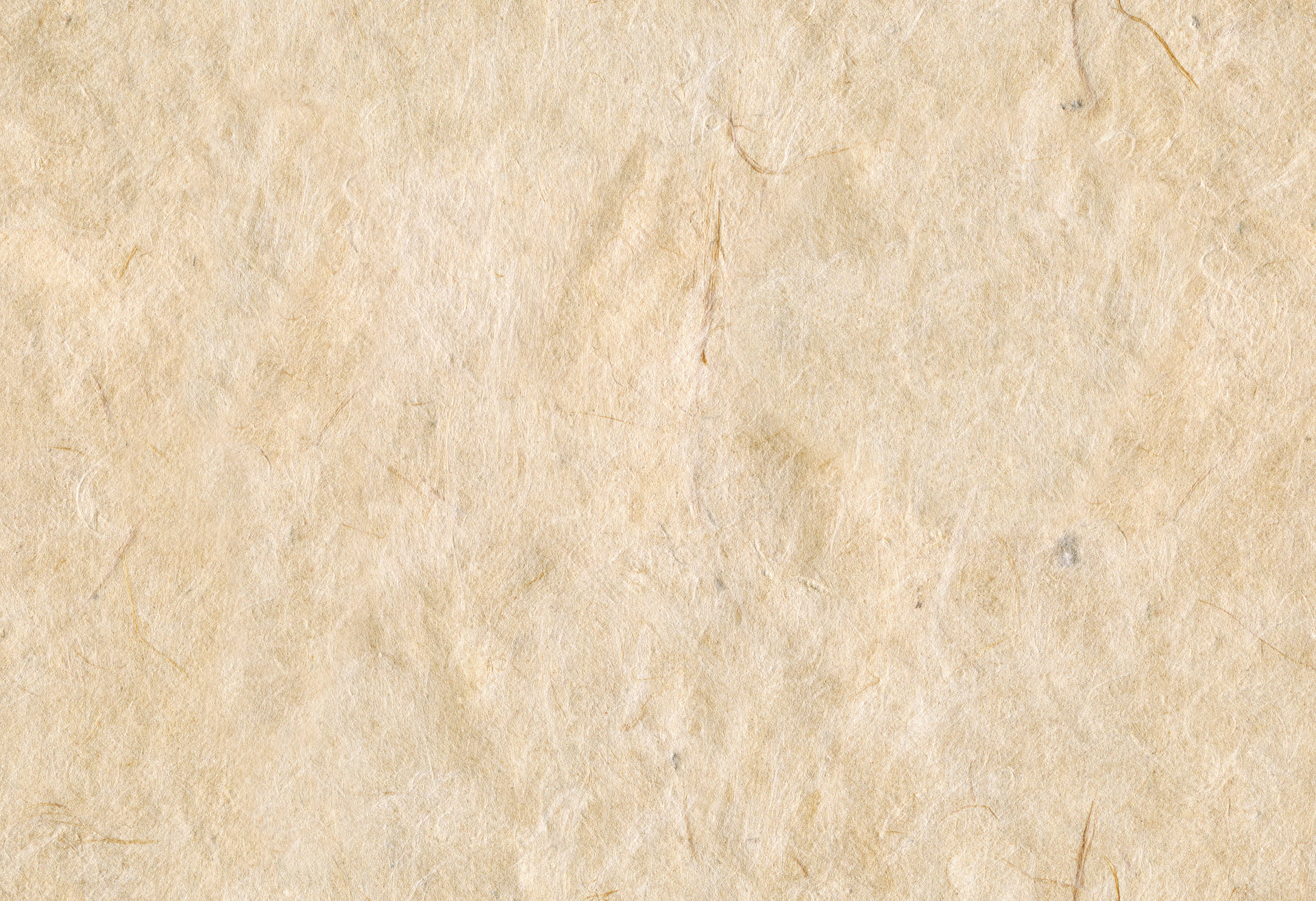 Blank Crinkled Beige Paper