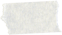 Tape Strip