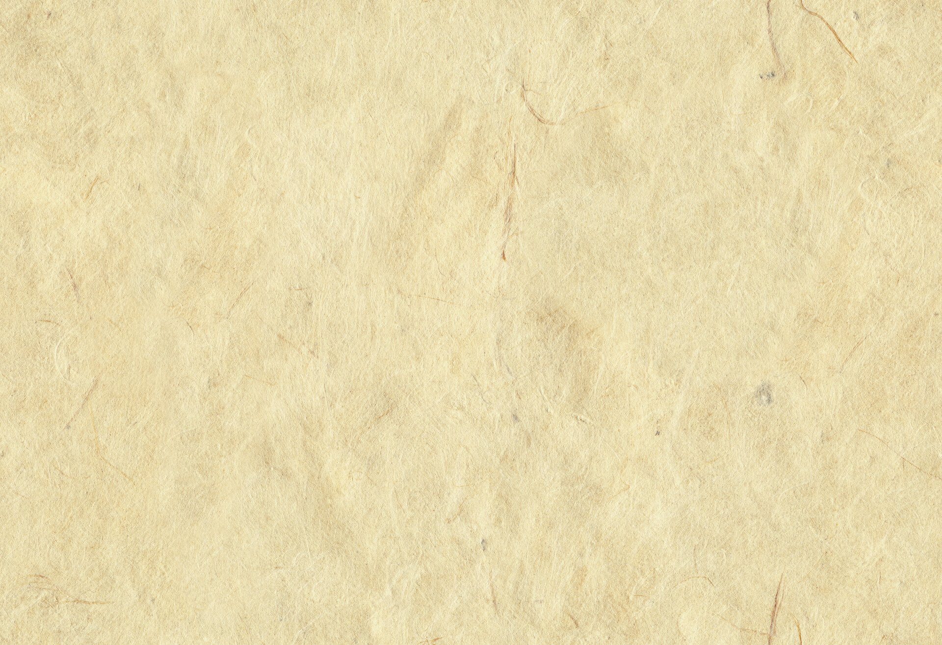 Blank Crinkled Beige Paper